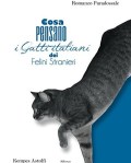 cosa-pensano-i-gatti-italiani-dei-felini-stranieri