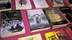 wp_20170219_11_06_11_pro